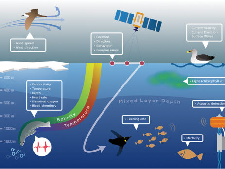 igure 1. Schematic illustrating the many parameters that can be measured by animal-borne packages, using archival, acoustic, or satellite telemetry. The environmental, physiological, and ecological data collected by the illustrative marine animals (penguin, seabird, fish, seal) may be measured in multiple ways and stored or transmitted or both.